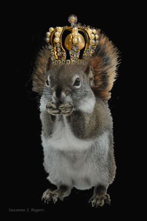 9180 3wms Squirrel with crown
